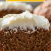 Applesauce Muffin Recipe Healthy